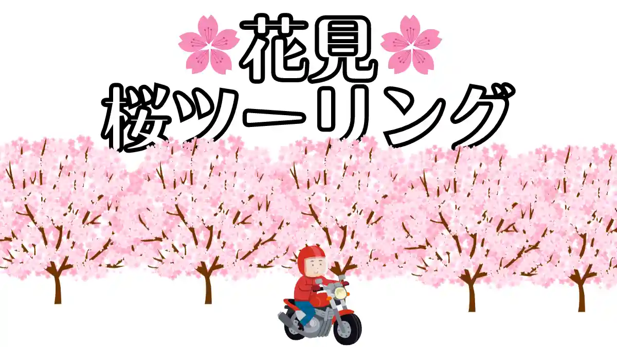 桜ツーリングをするイラスト